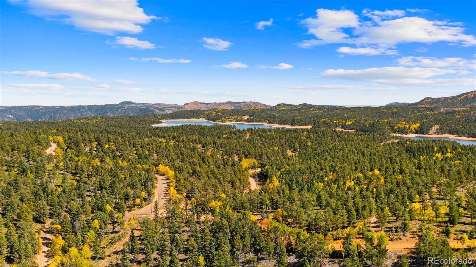 MLS Image #41 for 2558  cr 28 ,woodland park, Colorado