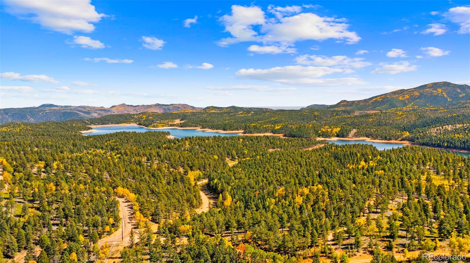 MLS Image #42 for 2558  cr 28 ,woodland park, Colorado