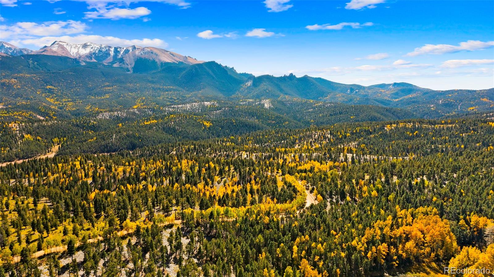MLS Image #43 for 2558  cr 28 ,woodland park, Colorado