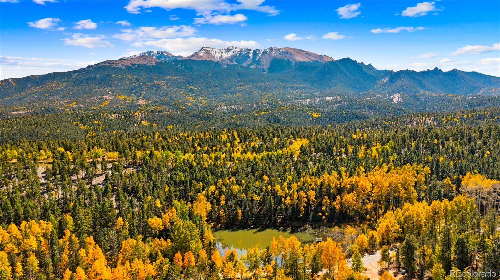 MLS Image #44 for 2558  cr 28 ,woodland park, Colorado