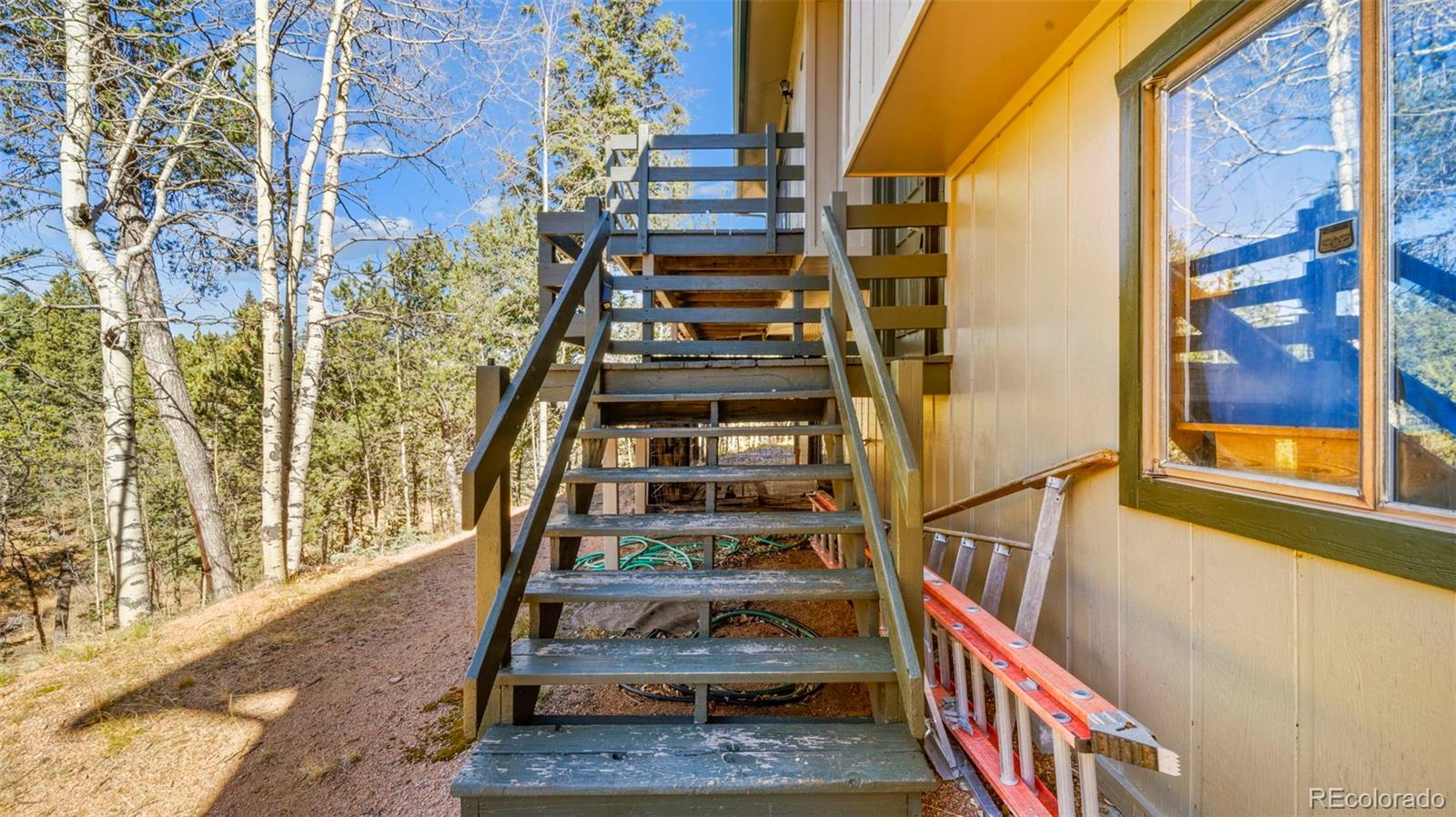 MLS Image #5 for 2558  cr 28 ,woodland park, Colorado