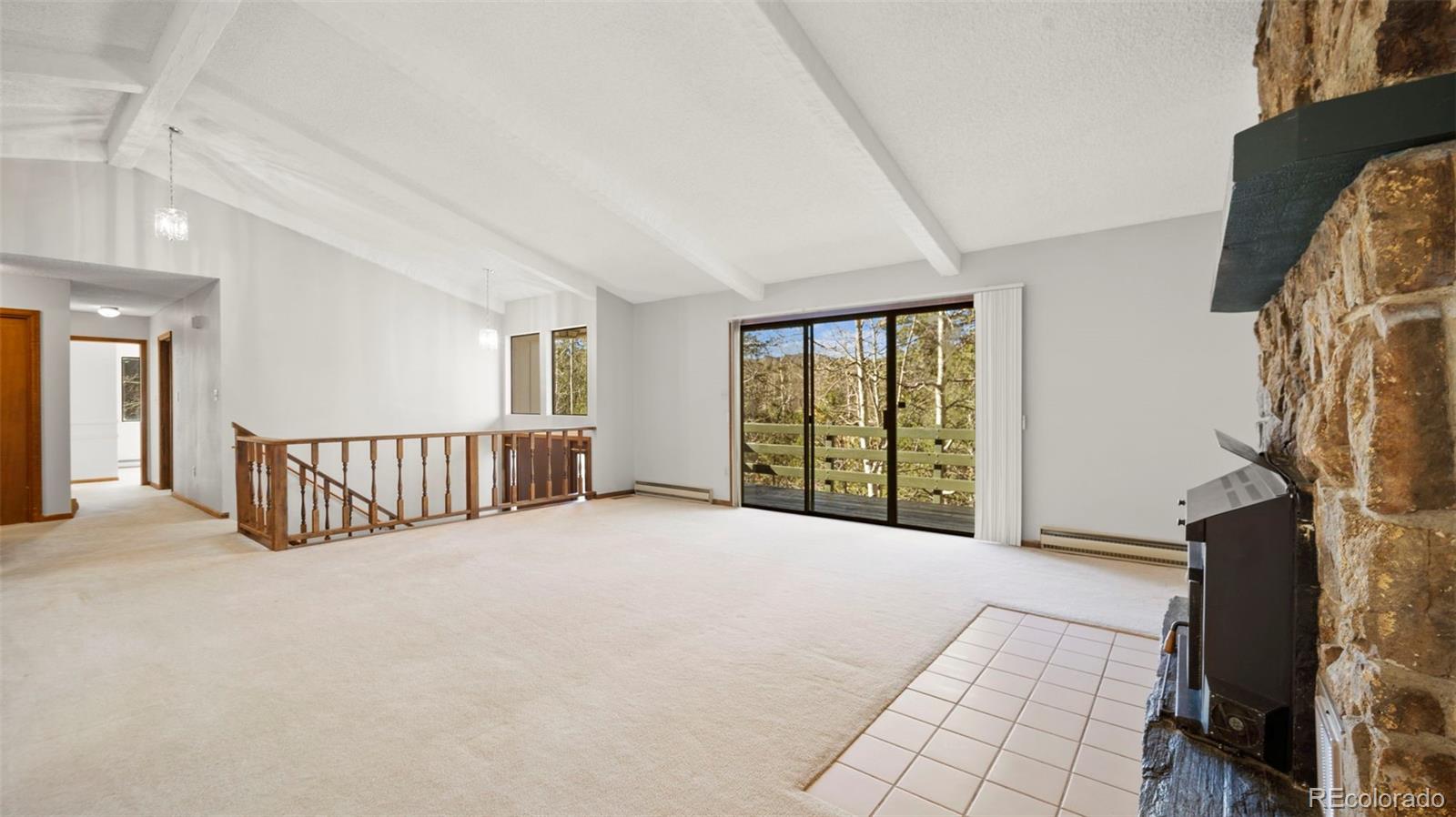 MLS Image #8 for 2558  cr 28 ,woodland park, Colorado