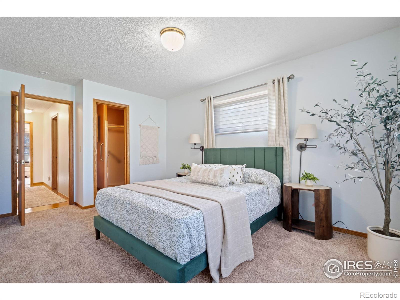 MLS Image #17 for 3344  hickok drive,fort collins, Colorado