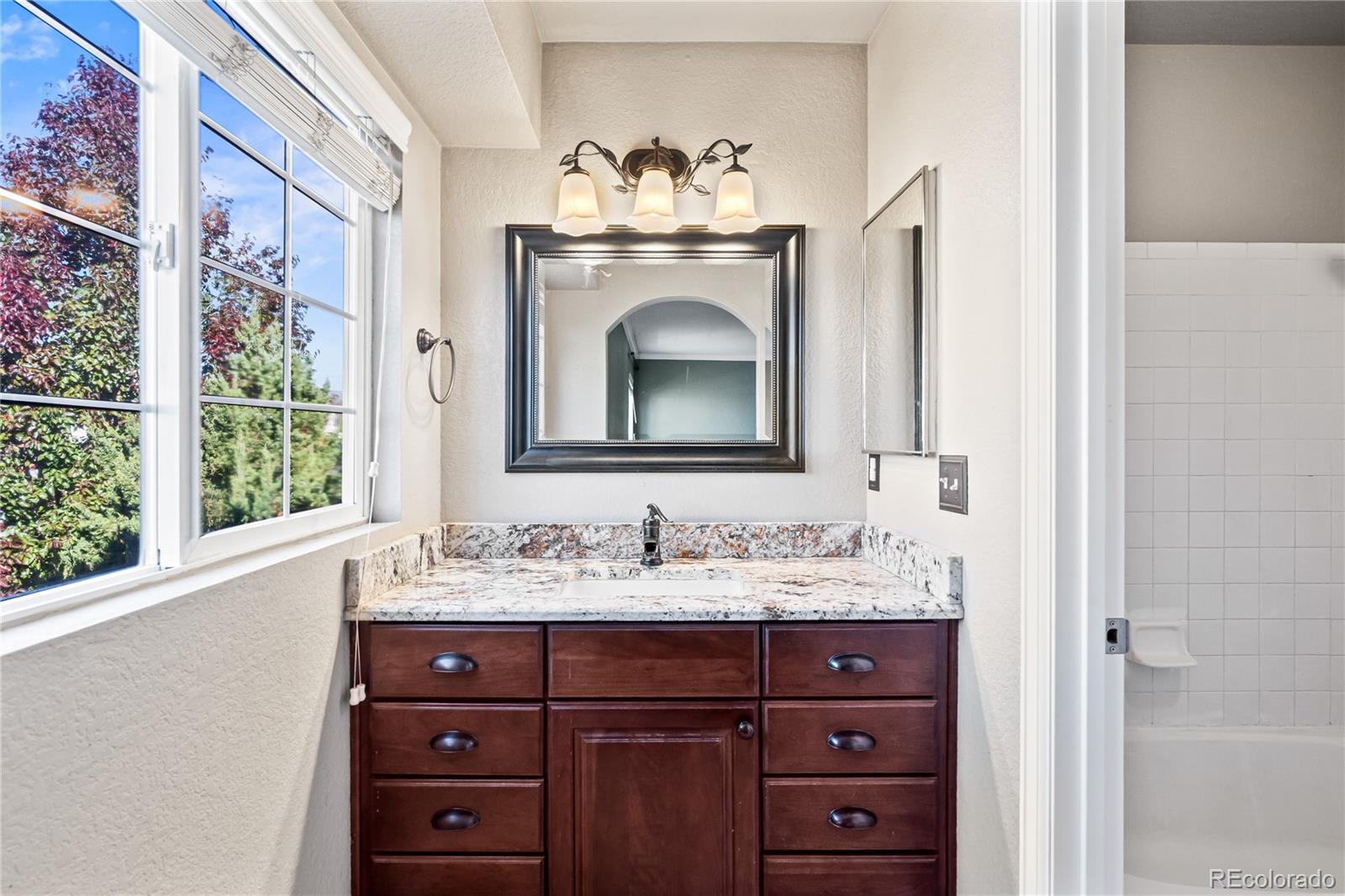 MLS Image #23 for 10880  mount bross way,parker, Colorado
