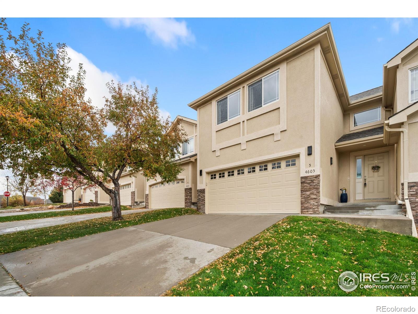 MLS Image #1 for 4603  chokecherry trail,fort collins, Colorado