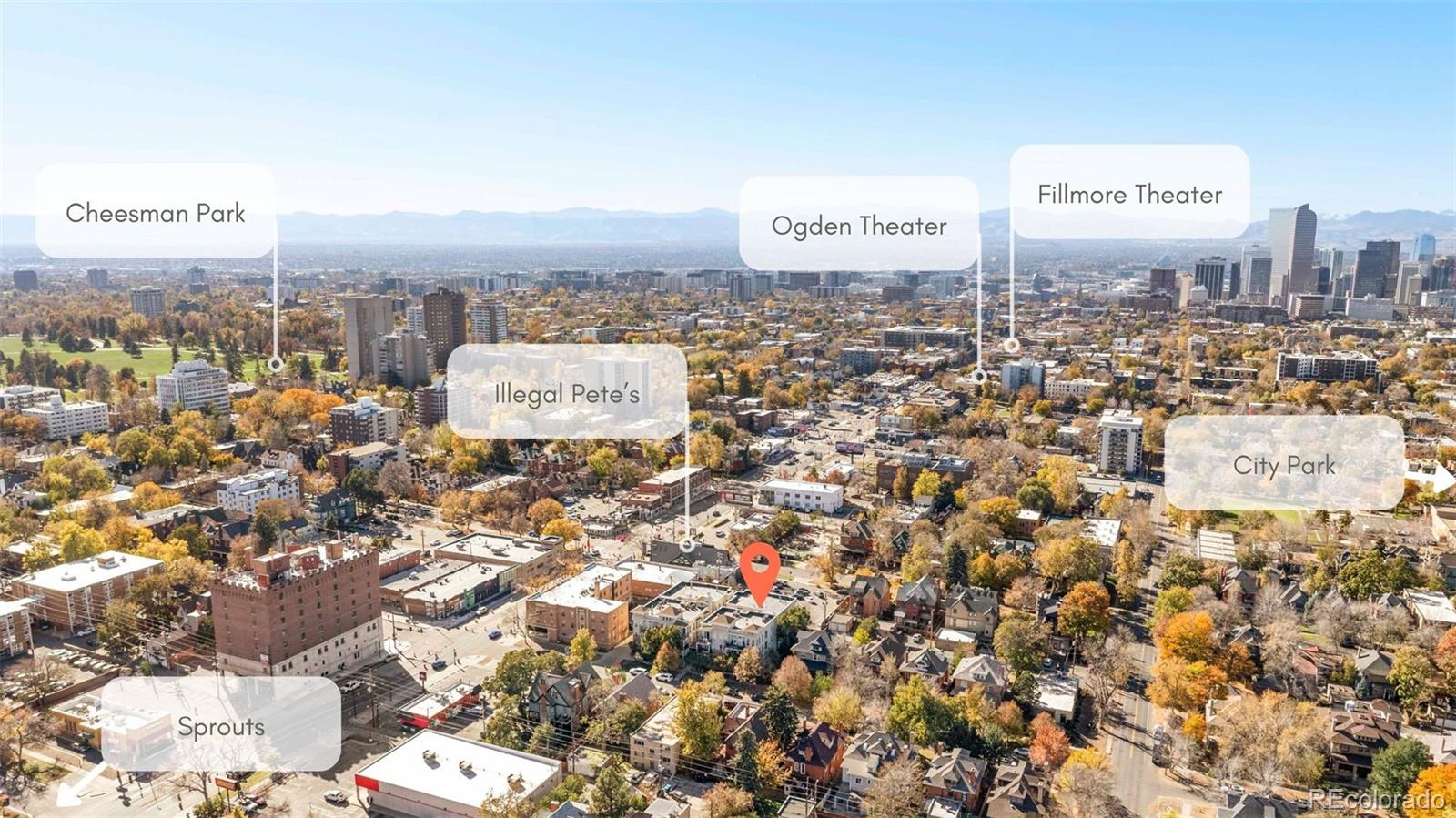MLS Image #32 for 1521  vine street 107,denver, Colorado