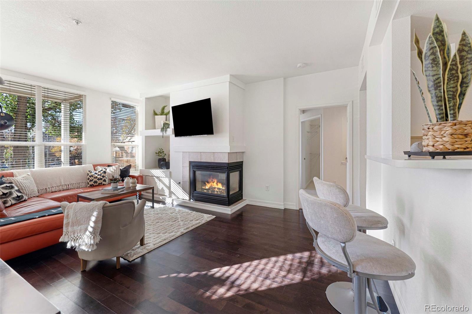 MLS Image #4 for 1521  vine street 107,denver, Colorado