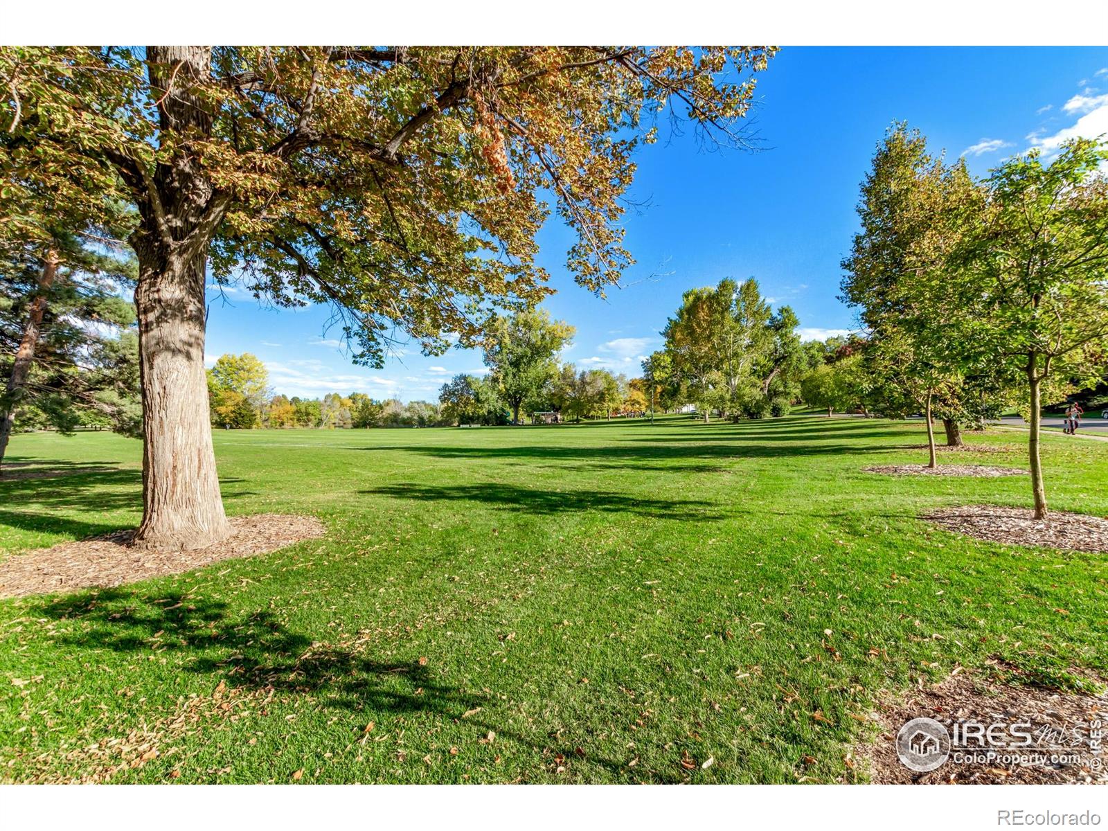 MLS Image #37 for 2061 s stuart street,denver, Colorado