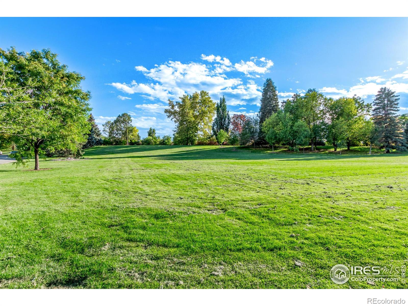 MLS Image #38 for 2061 s stuart street,denver, Colorado
