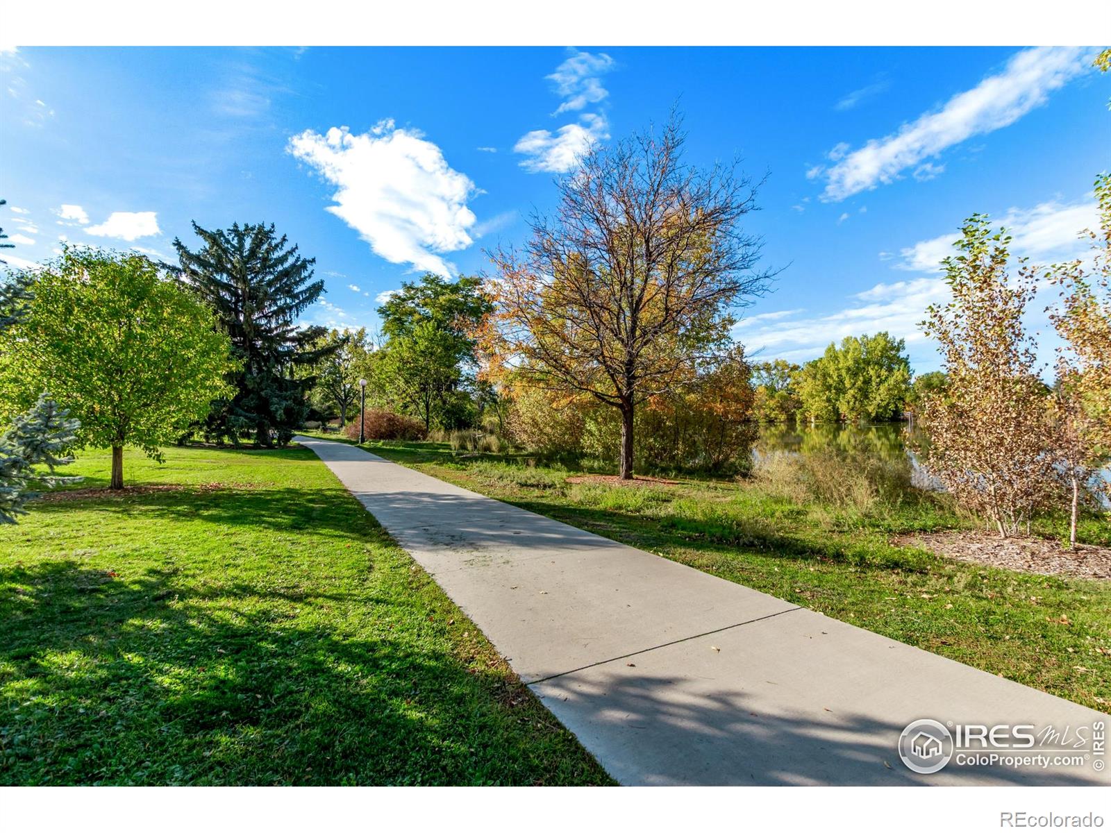 MLS Image #42 for 2061 s stuart street,denver, Colorado