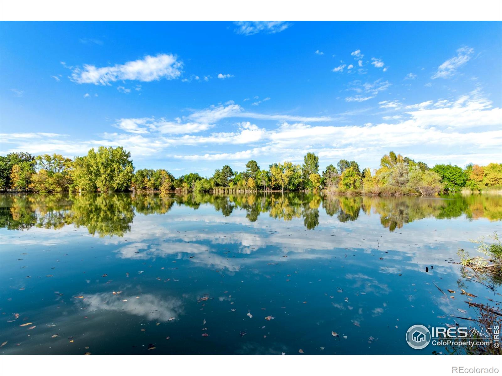 MLS Image #43 for 2061 s stuart street,denver, Colorado