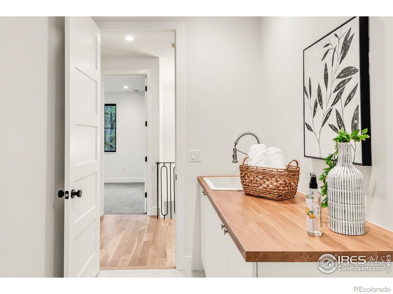 MLS Image #42 for 1476 s josephine street,denver, Colorado