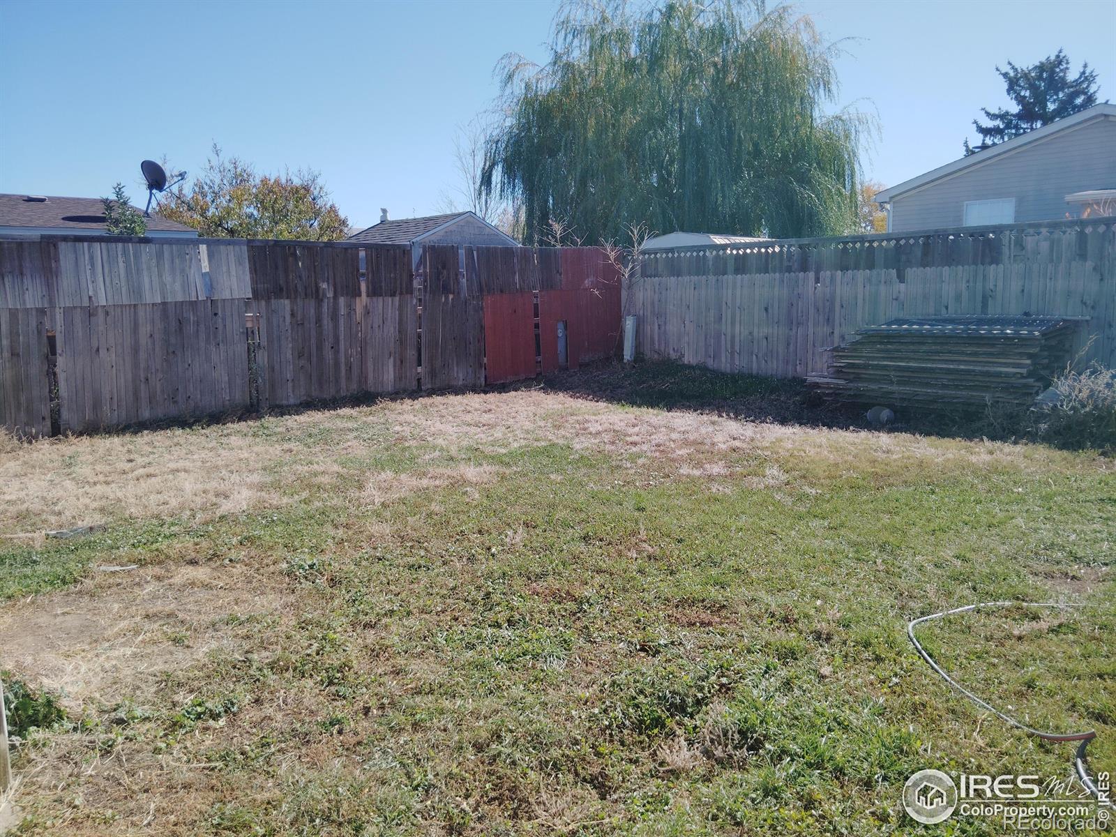 MLS Image #8 for 1209  mac cormack court,dacono, Colorado