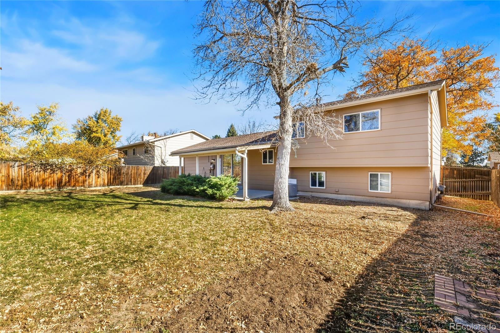 MLS Image #9 for 1723  elmwood street,broomfield, Colorado