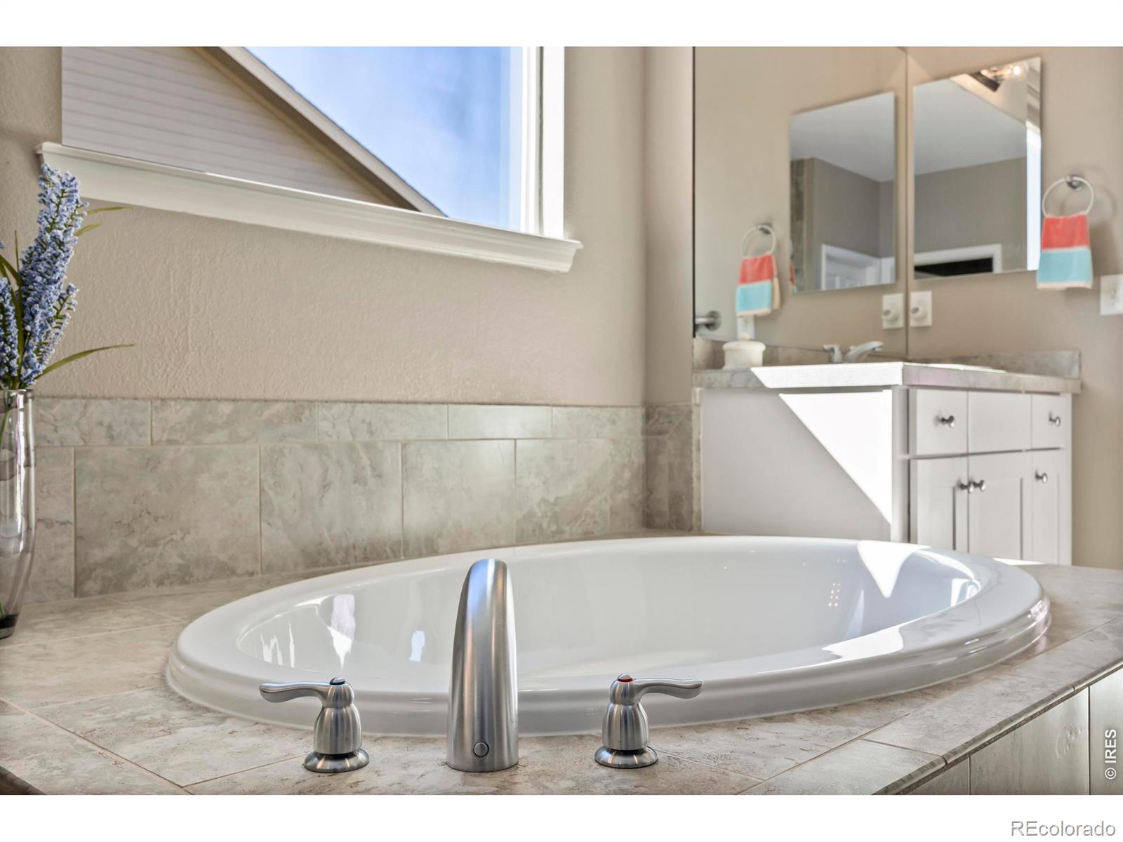 MLS Image #20 for 216  siesta key drive,windsor, Colorado