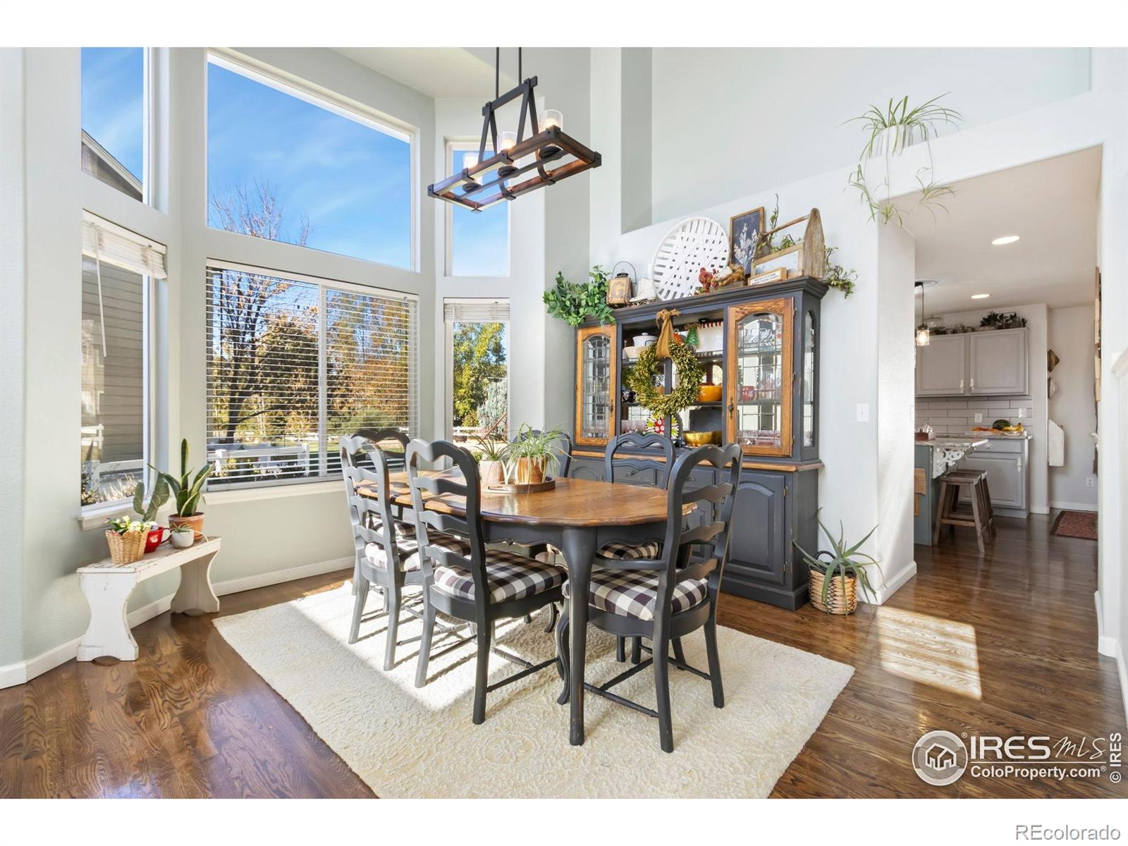 MLS Image #4 for 122  cobble court,windsor, Colorado