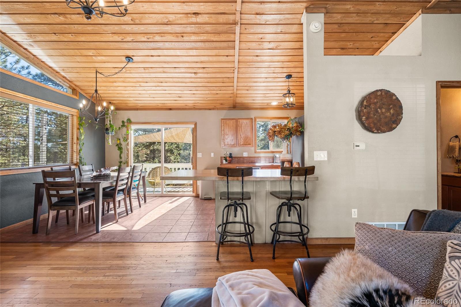 MLS Image #10 for 294  kudu trail ,bailey, Colorado