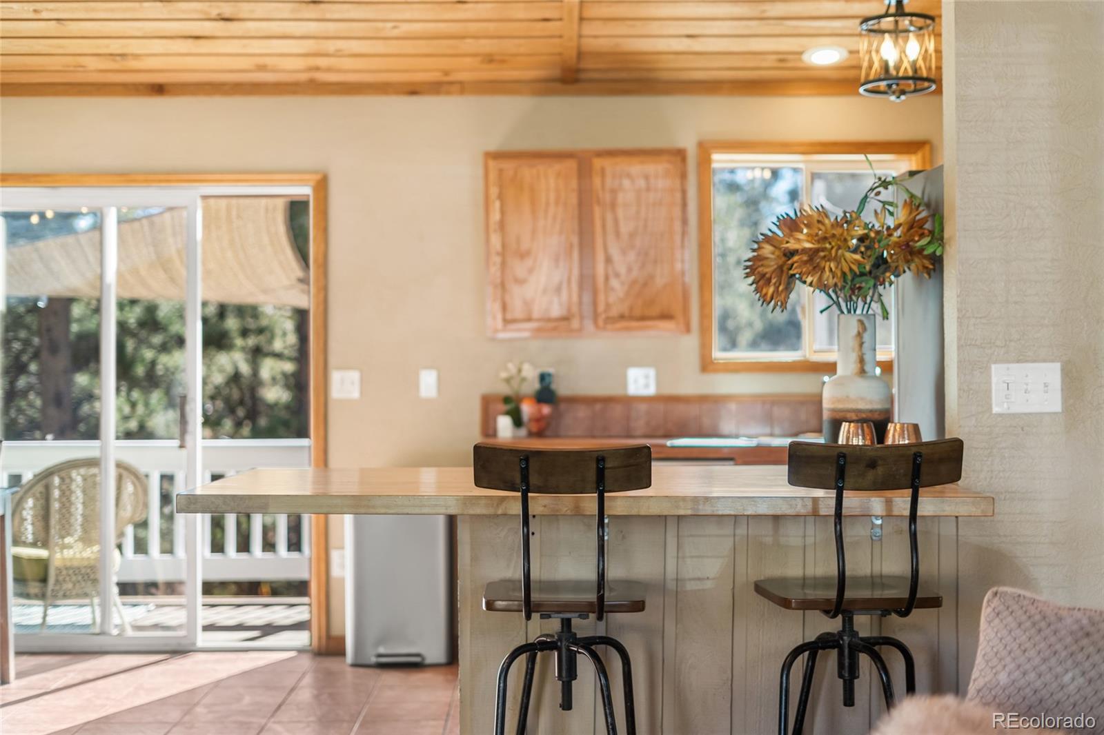 MLS Image #11 for 294  kudu trail ,bailey, Colorado