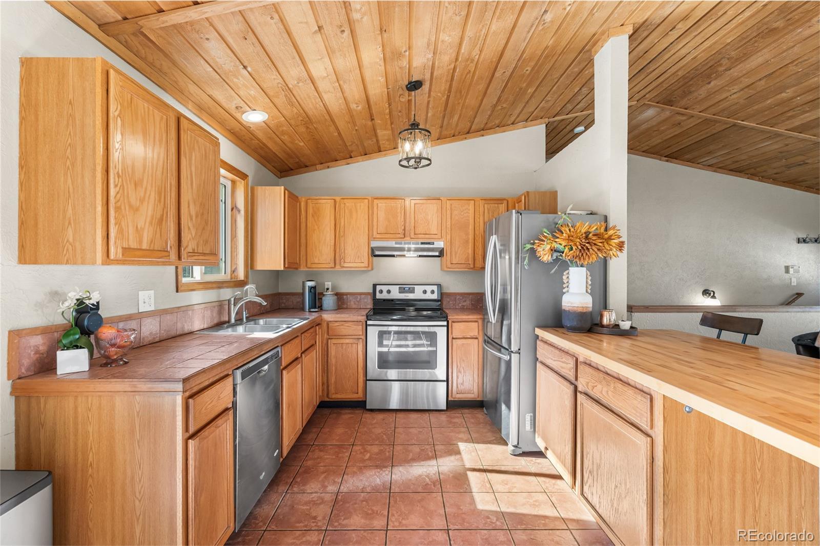 MLS Image #12 for 294  kudu trail ,bailey, Colorado