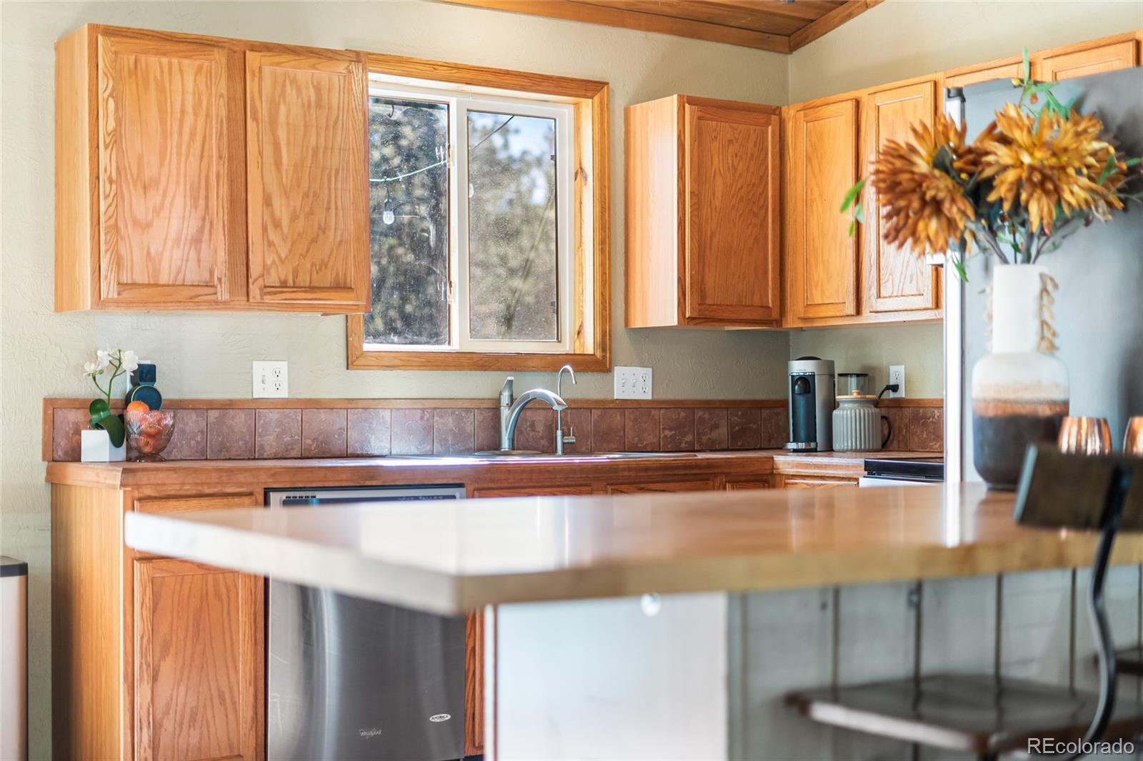 MLS Image #14 for 294  kudu trail ,bailey, Colorado