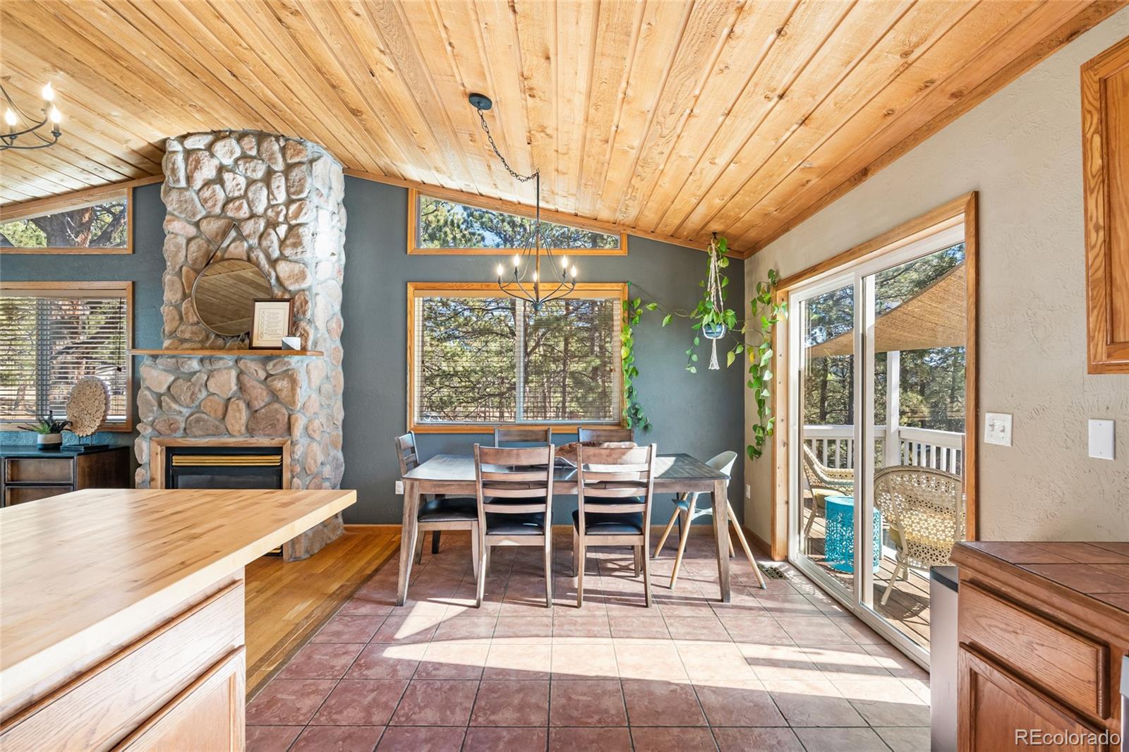 MLS Image #15 for 294  kudu trail ,bailey, Colorado