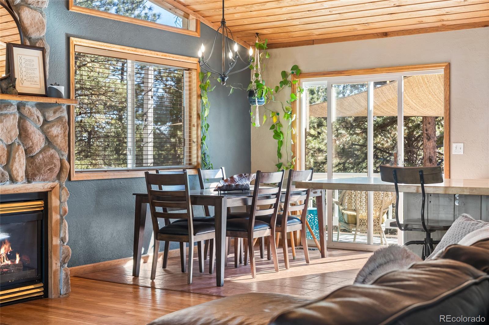 MLS Image #16 for 294  kudu trail ,bailey, Colorado