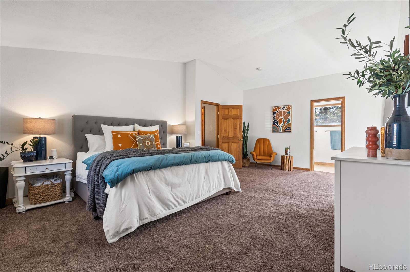 MLS Image #19 for 294  kudu trail ,bailey, Colorado