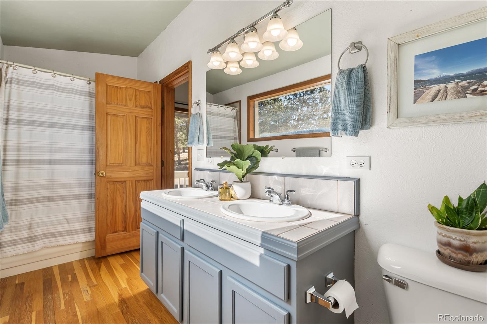 MLS Image #23 for 294  kudu trail ,bailey, Colorado