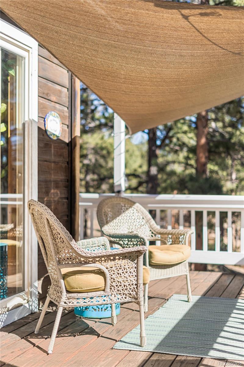 MLS Image #4 for 294  kudu trail ,bailey, Colorado