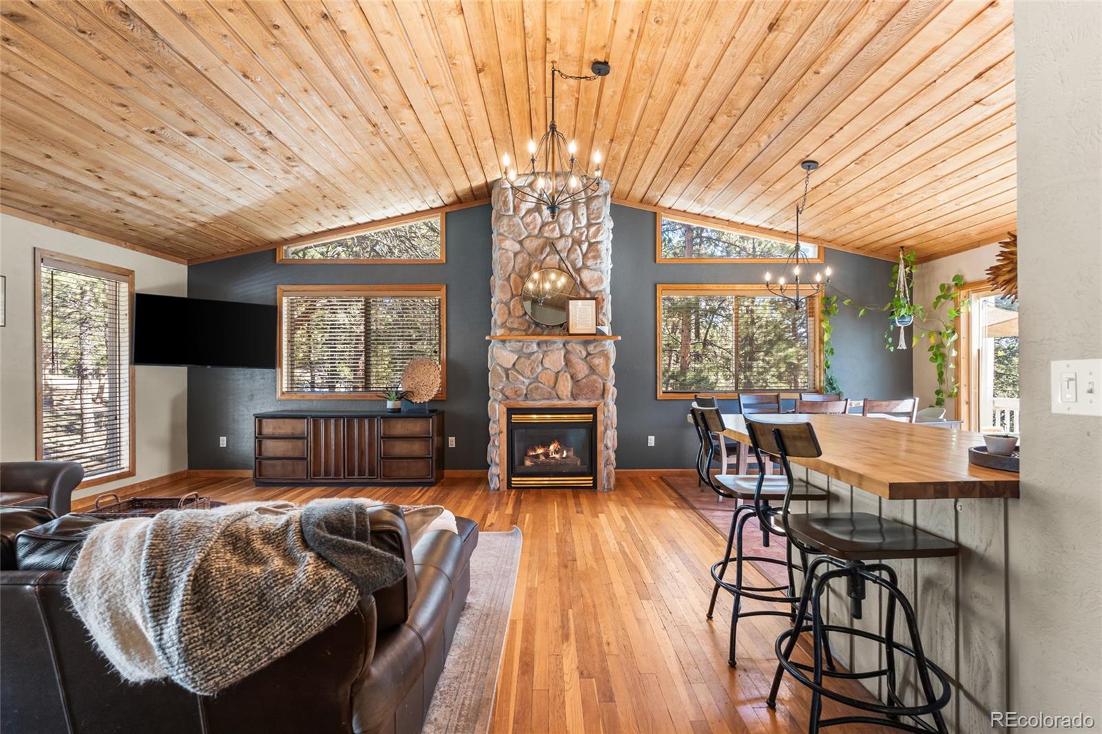 MLS Image #5 for 294  kudu trail ,bailey, Colorado