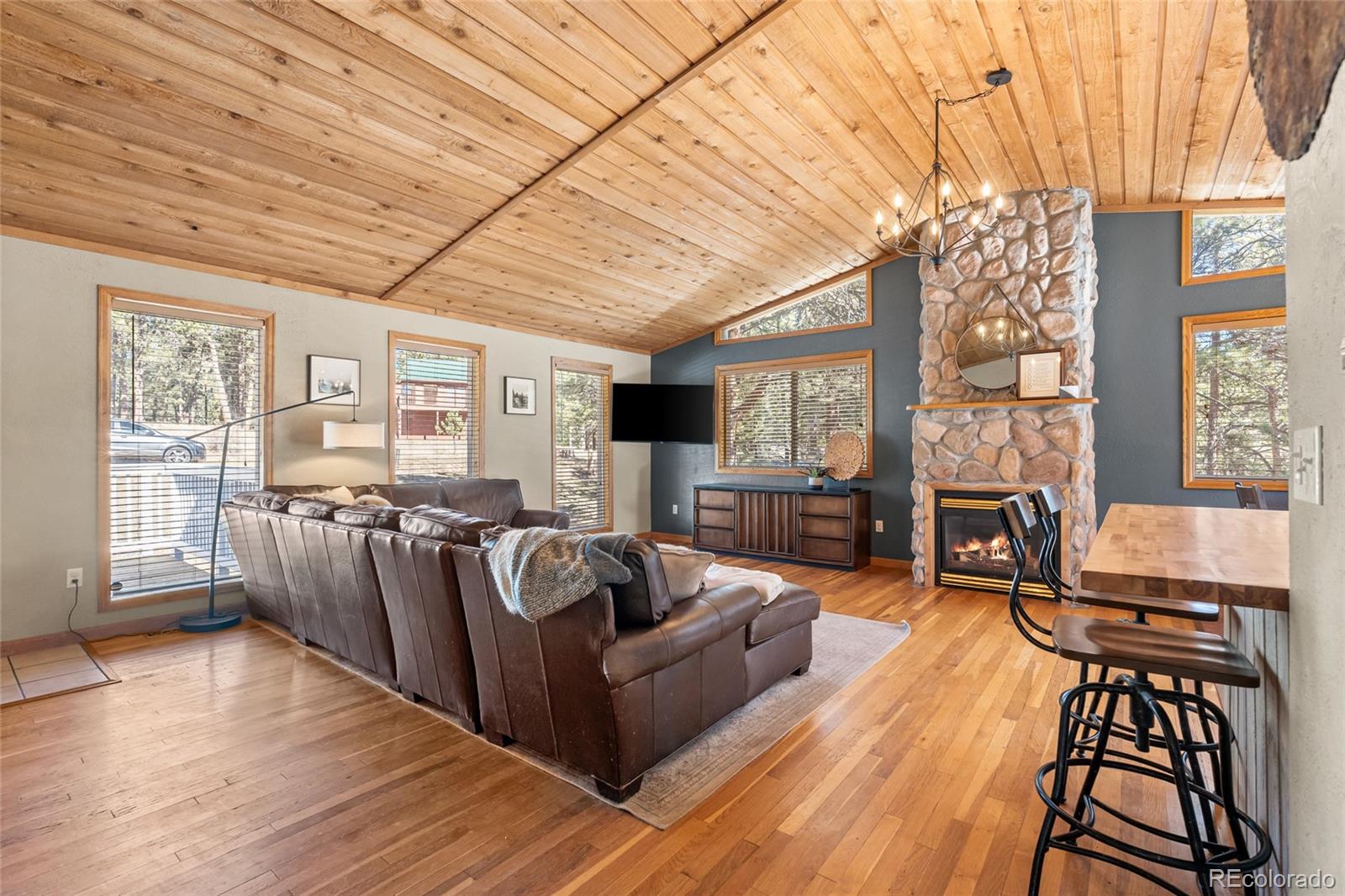 MLS Image #7 for 294  kudu trail ,bailey, Colorado
