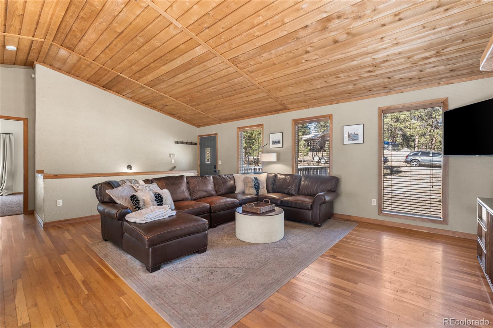 MLS Image #8 for 294  kudu trail ,bailey, Colorado