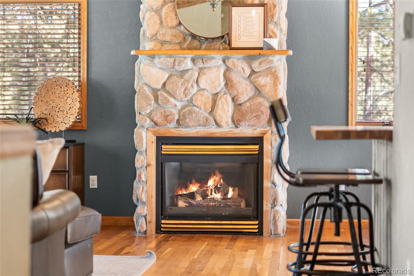 MLS Image #9 for 294  kudu trail ,bailey, Colorado