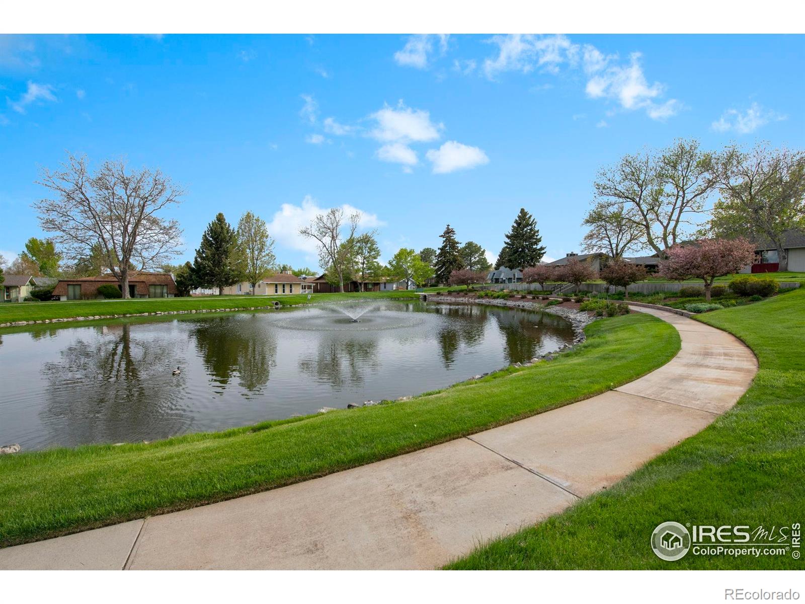 MLS Image #27 for 19  douglas drive,broomfield, Colorado