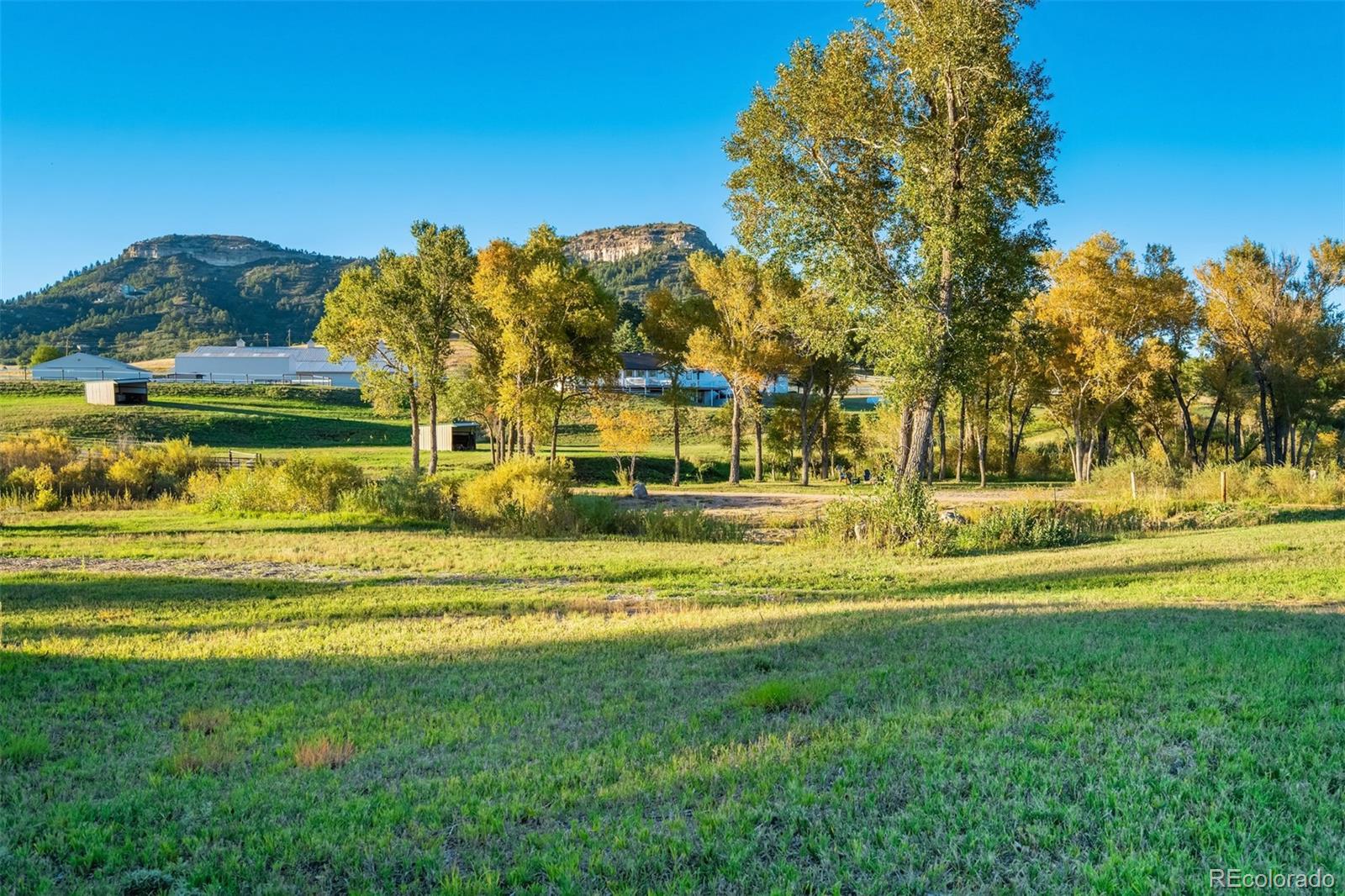 MLS Image #45 for 850  fox farm road,larkspur, Colorado