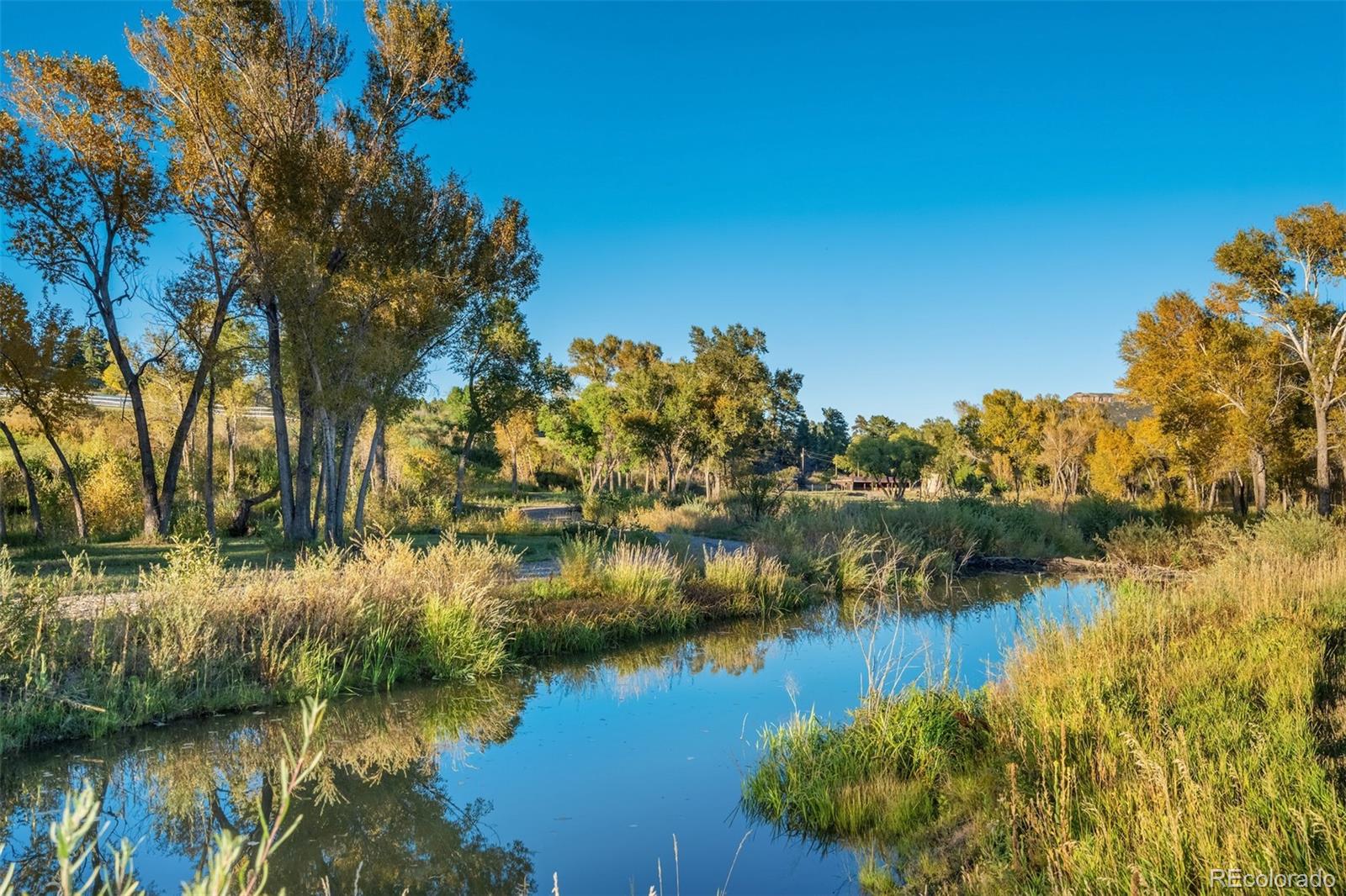 MLS Image #6 for 850  fox farm road,larkspur, Colorado