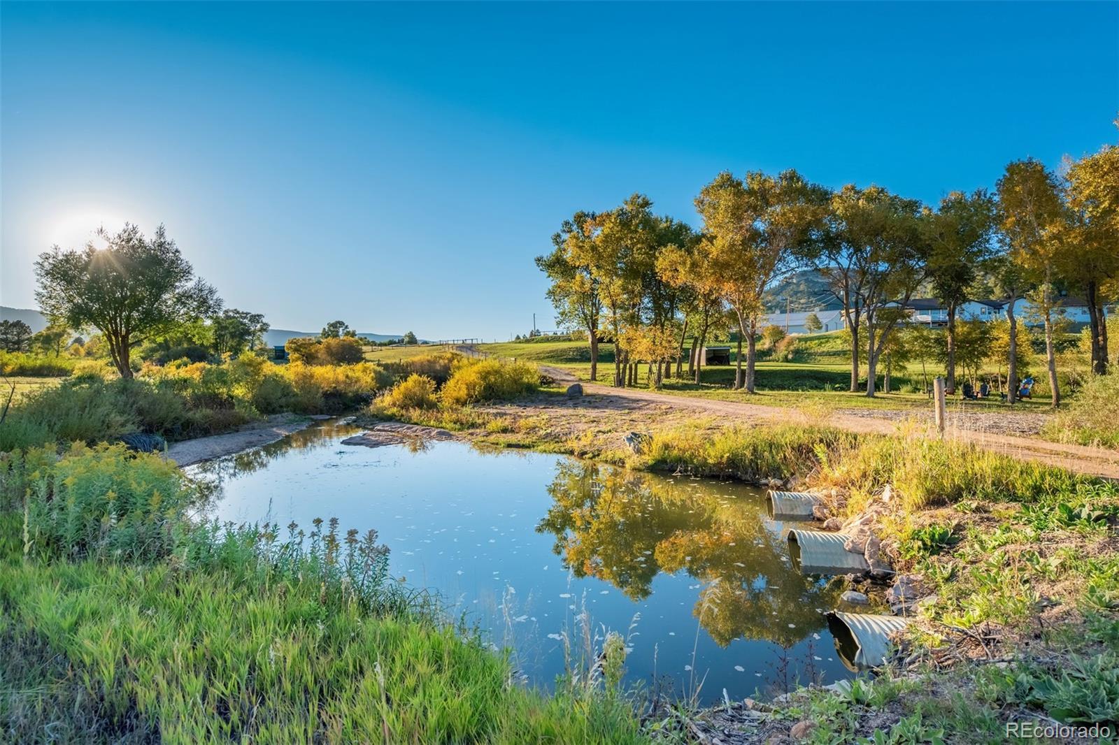 MLS Image #7 for 850  fox farm road,larkspur, Colorado