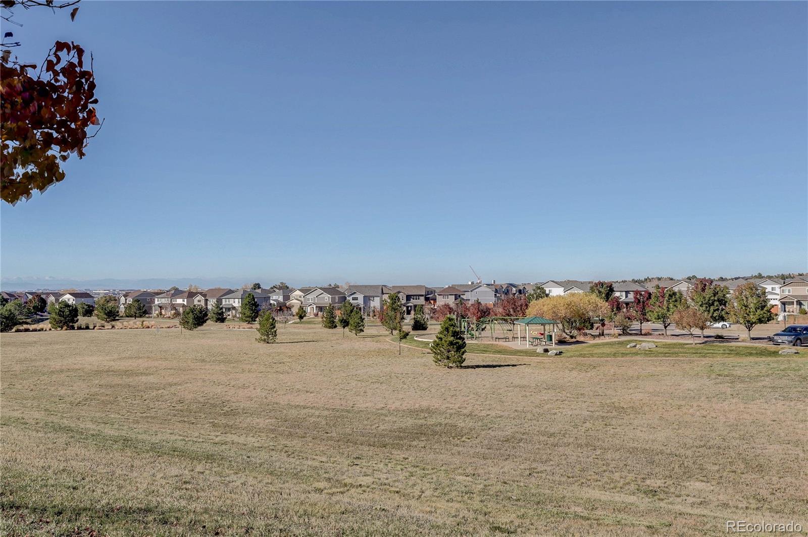 MLS Image #34 for 11594  dewey street,parker, Colorado
