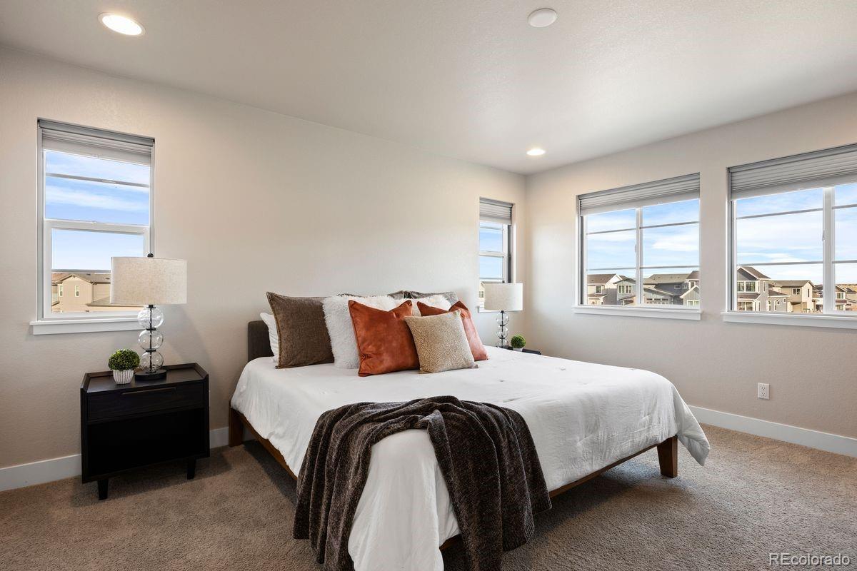 MLS Image #15 for 6239  stable view street,castle pines, Colorado