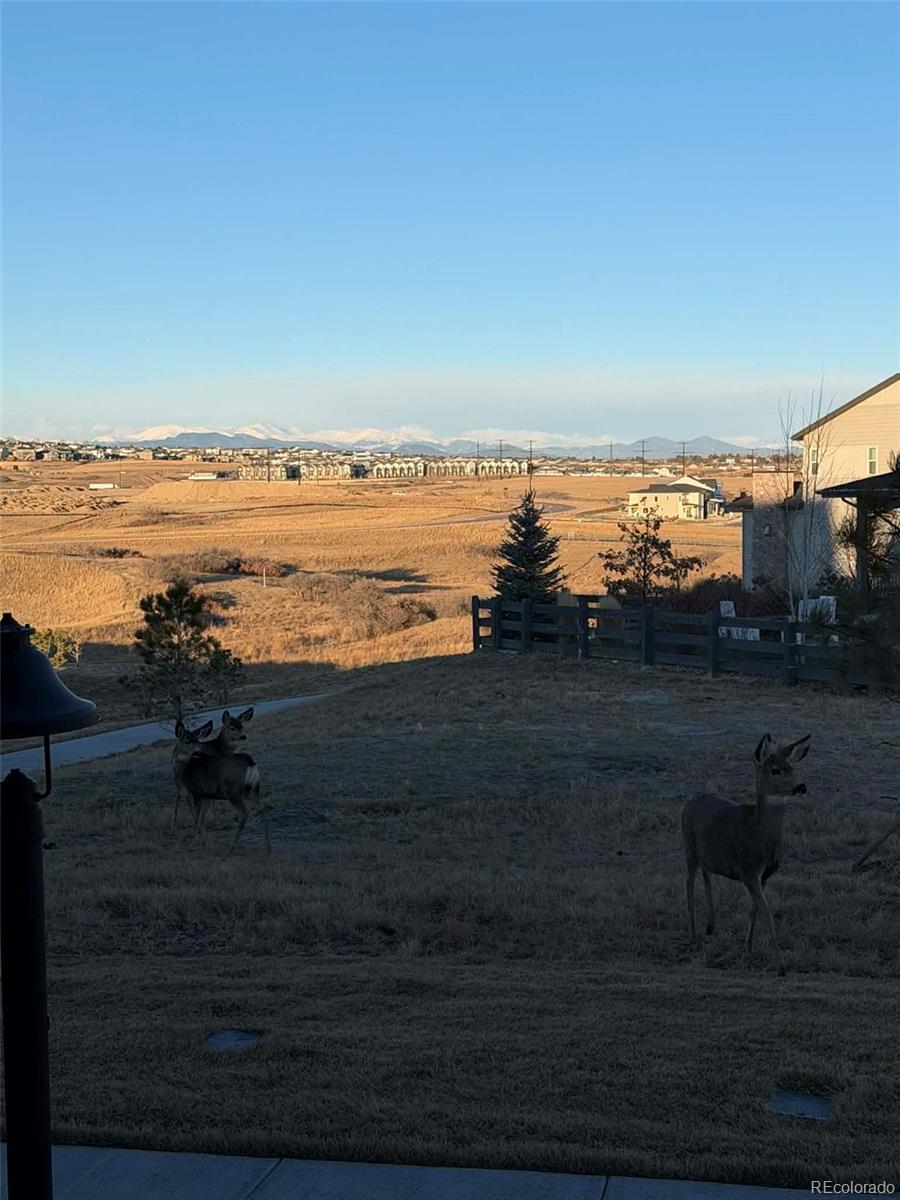 MLS Image #39 for 6239  stable view street,castle pines, Colorado