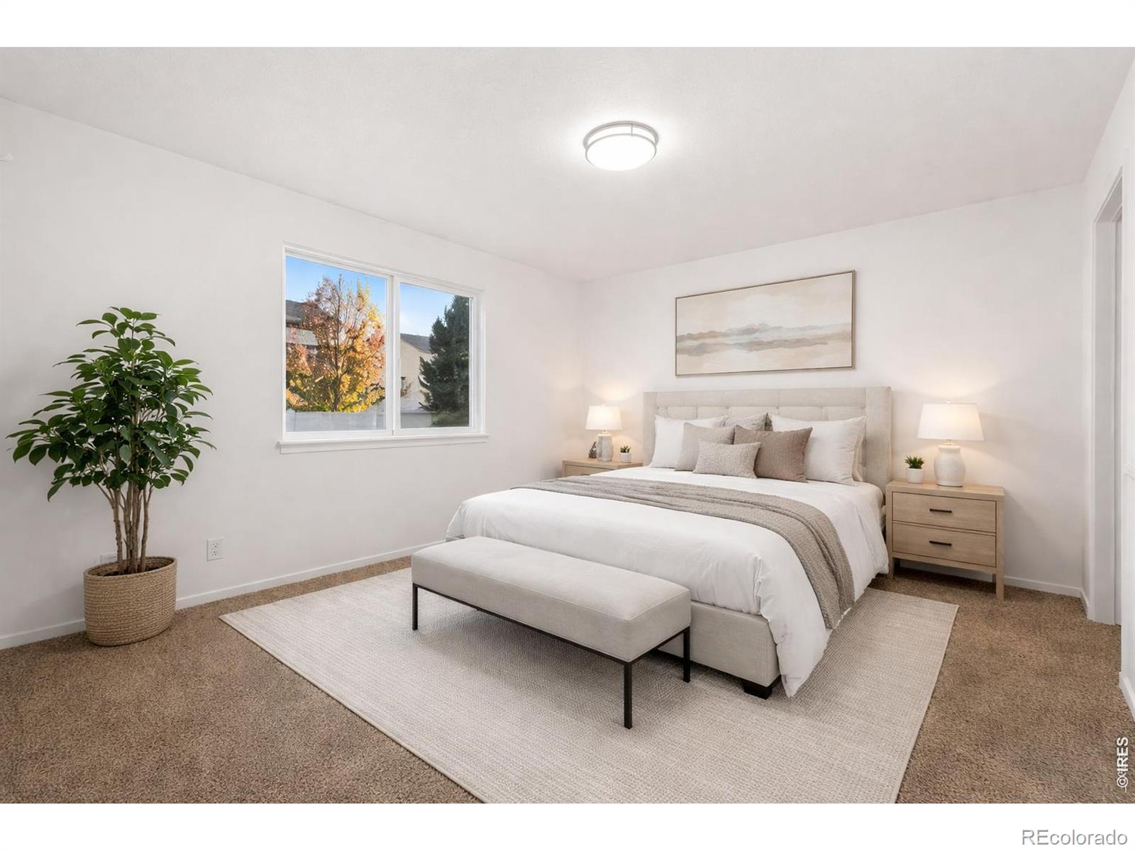 MLS Image #18 for 4986 w 2nd st rd,greeley, Colorado