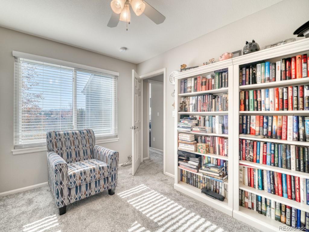 MLS Image #15 for 1864  mountain maple avenue,highlands ranch, Colorado