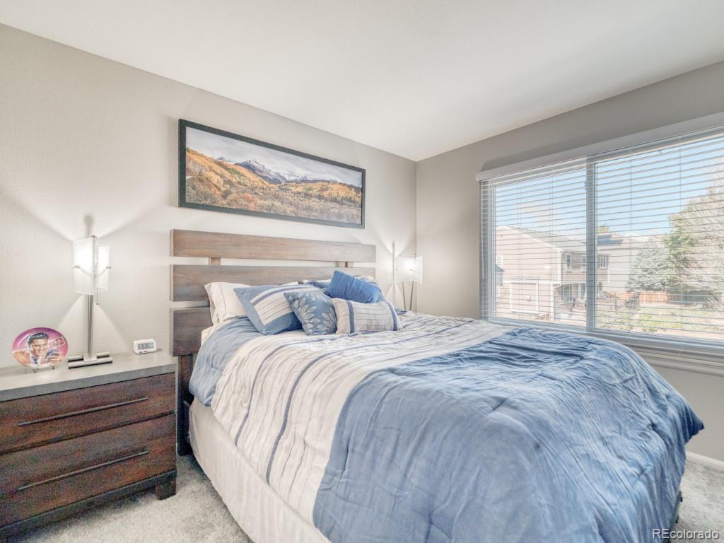 MLS Image #23 for 1864  mountain maple avenue,highlands ranch, Colorado