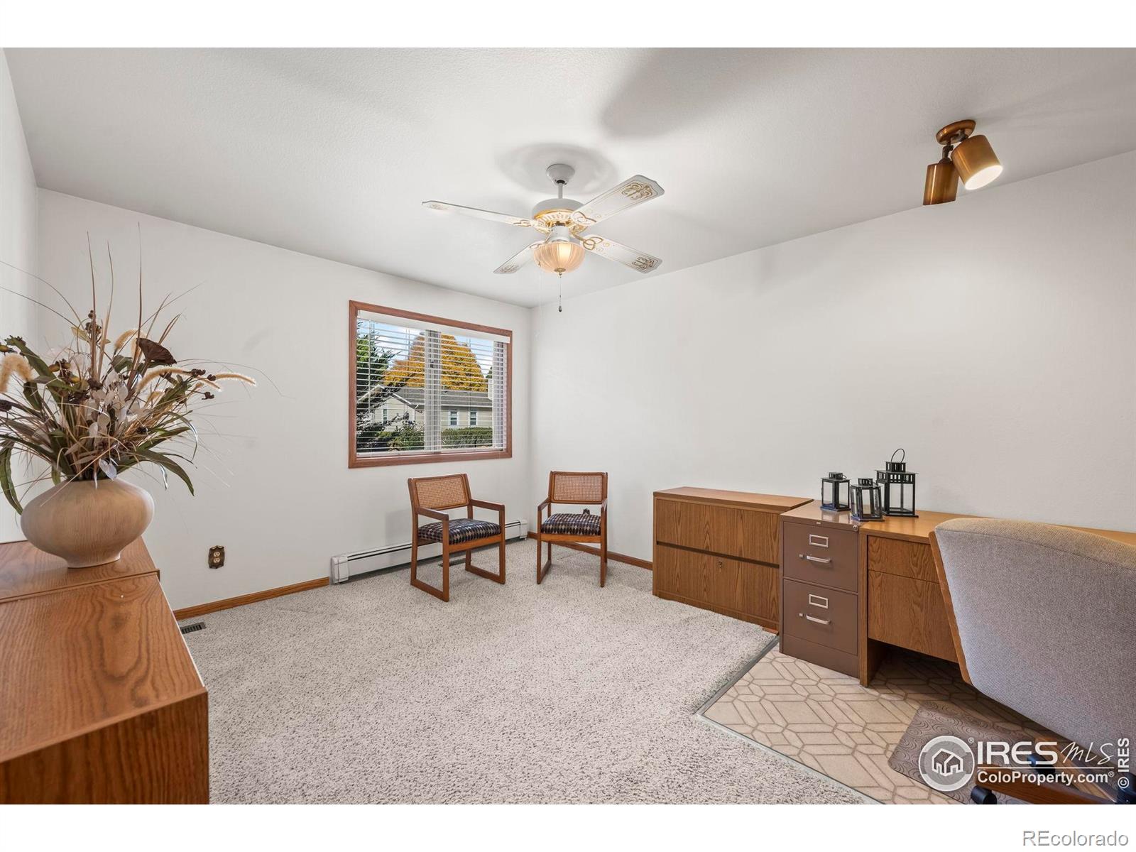 MLS Image #10 for 13  curtis court,broomfield, Colorado