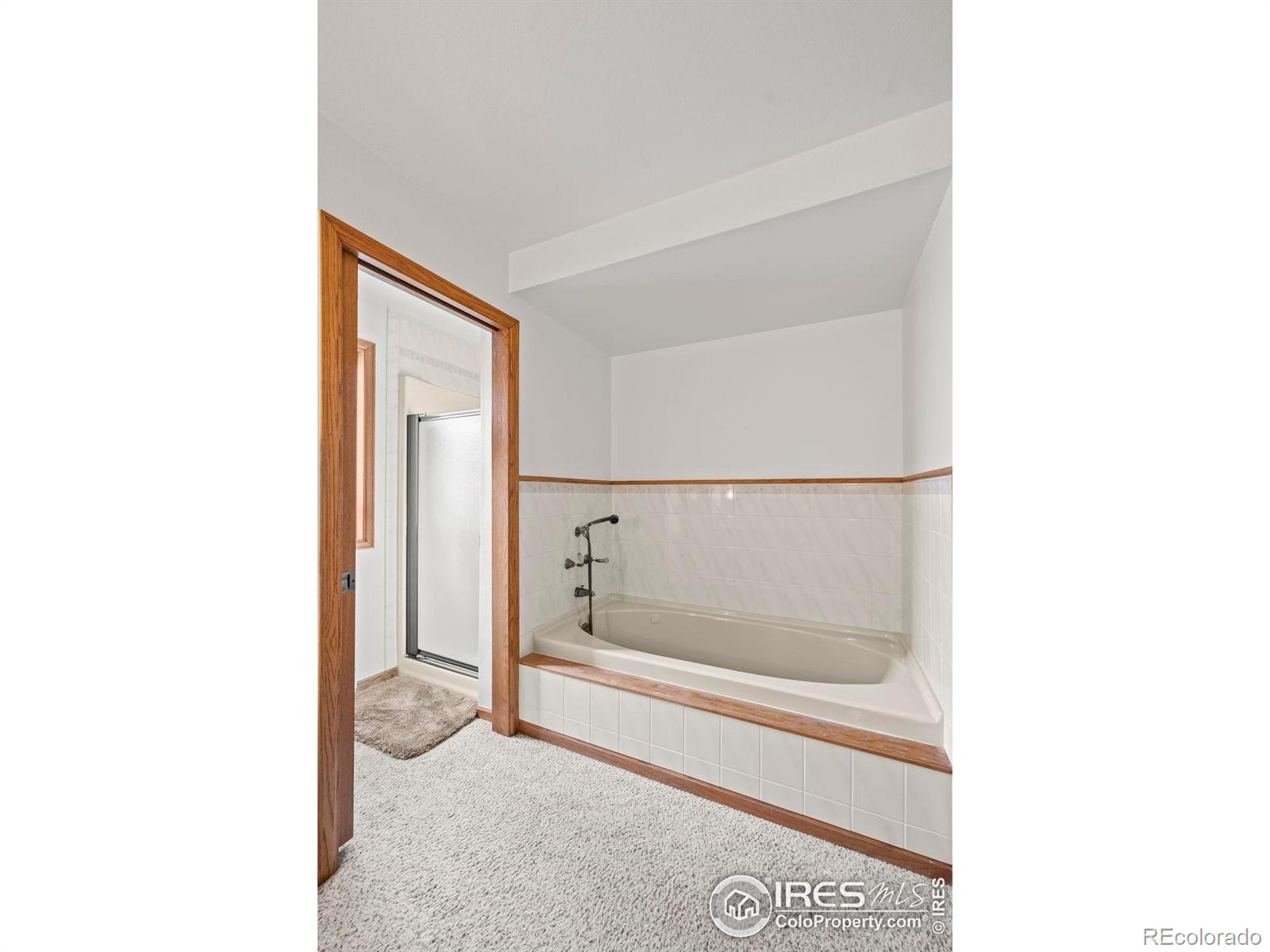 MLS Image #16 for 13  curtis court,broomfield, Colorado