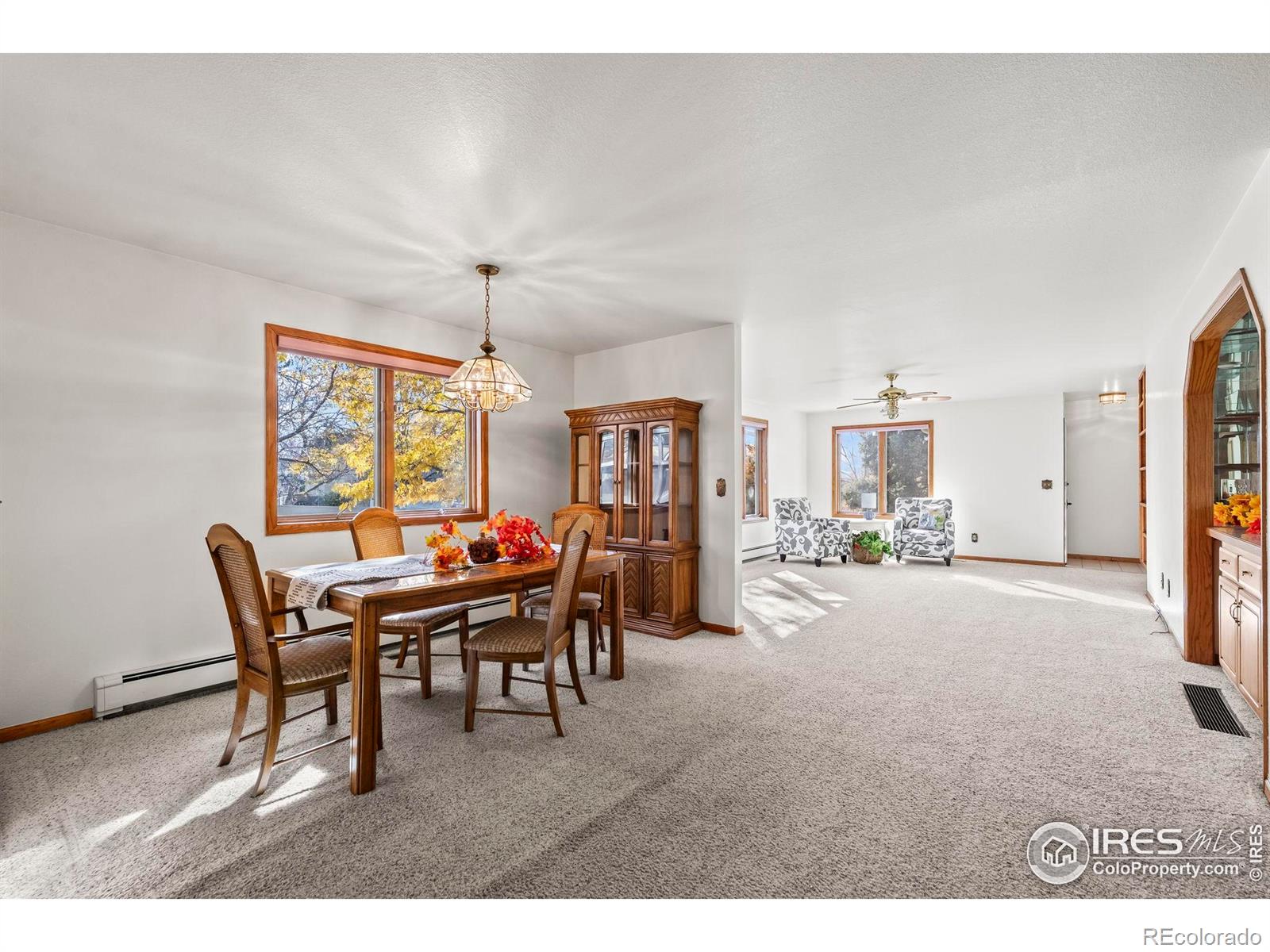 MLS Image #3 for 13  curtis court,broomfield, Colorado