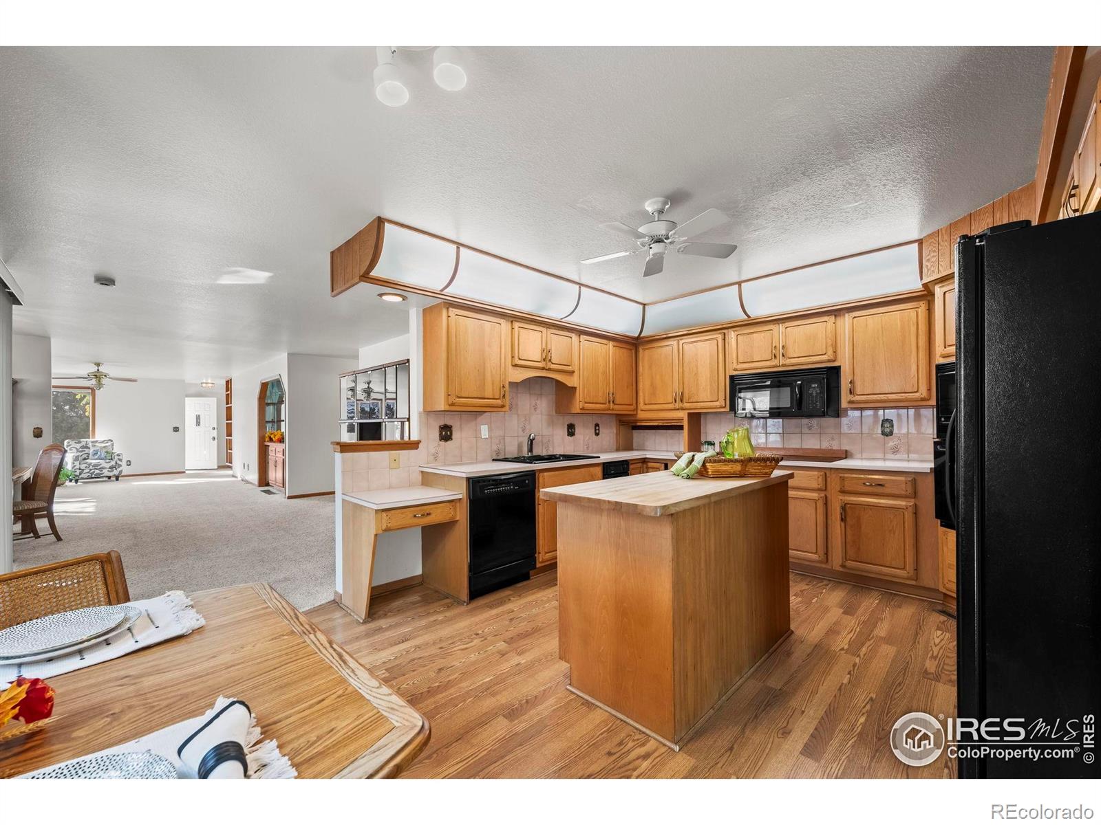 MLS Image #5 for 13  curtis court,broomfield, Colorado