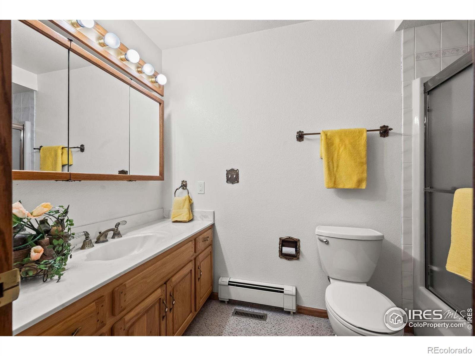 MLS Image #9 for 13  curtis court,broomfield, Colorado