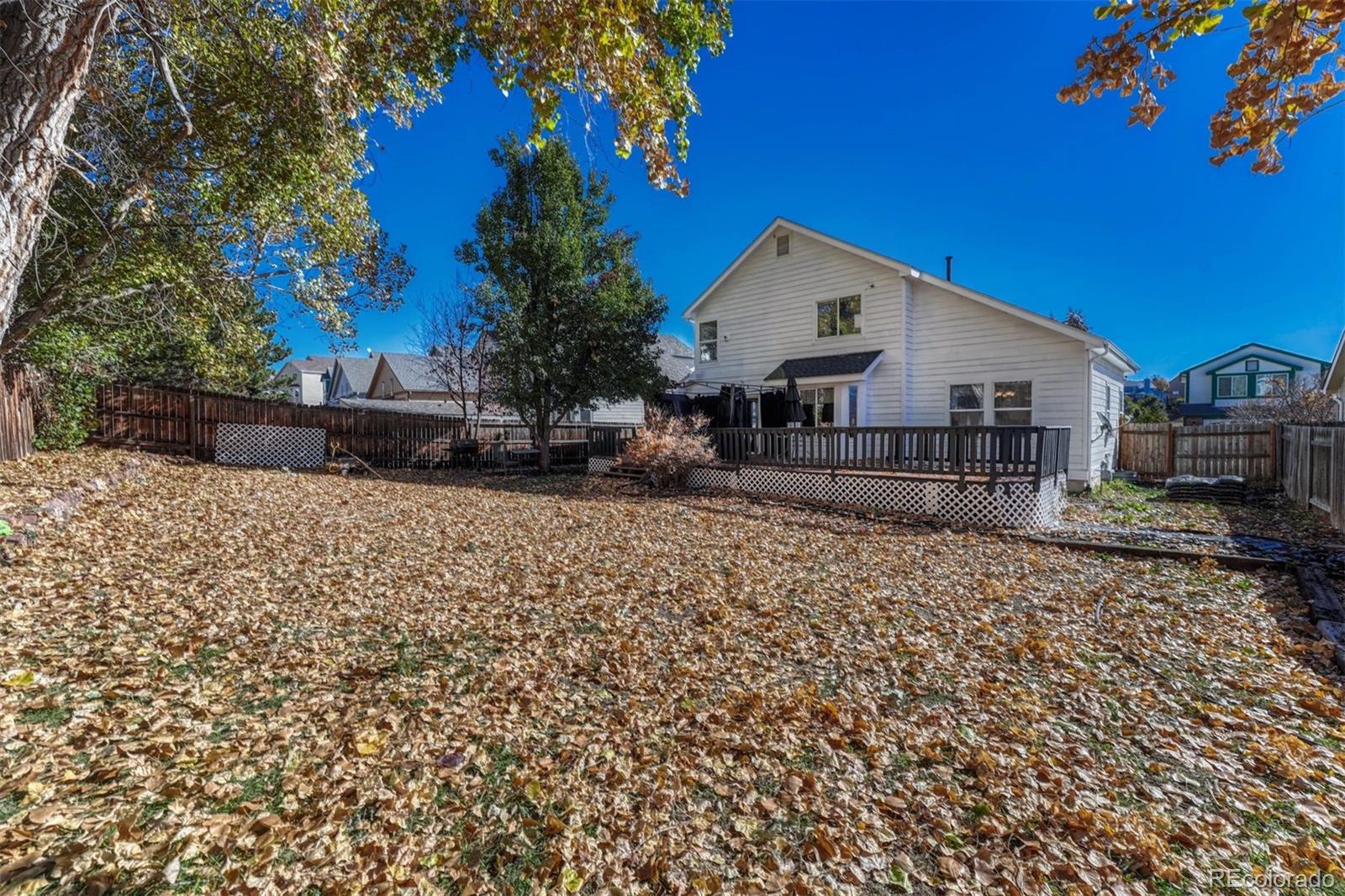 MLS Image #4 for 7295  cotton drive,colorado springs, Colorado