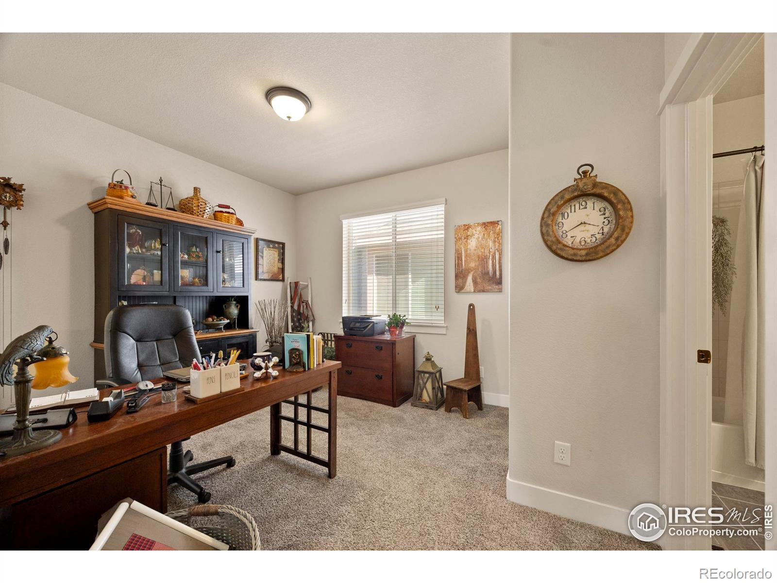 MLS Image #23 for 2203  friar tuck court,fort collins, Colorado